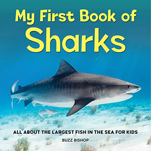 My First Book of Sharks All About the Largest Fish in the Sea for Kids [Hardcover]