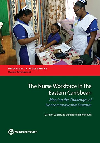 The Nurse Workforce in the Eastern Caribbean Meeting the Challenges of Noncommu [Paperback]