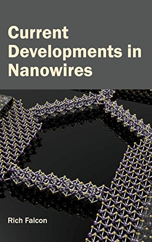 Current Developments In Nanowires [Hardcover]