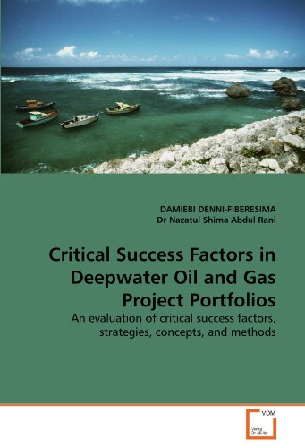 Critical Success Factors in Deepwater Oil and Gas Project Portfolios [Paperback]