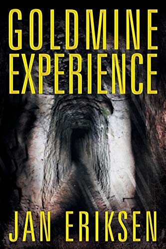 Goldmine Experience [Paperback]