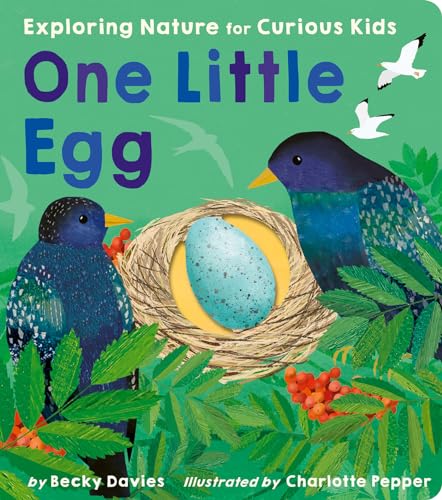 One Little Egg Exploring Nature for Curious Kids [Board book]