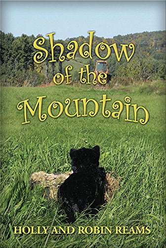 Shadow of the Mountain [Paperback]