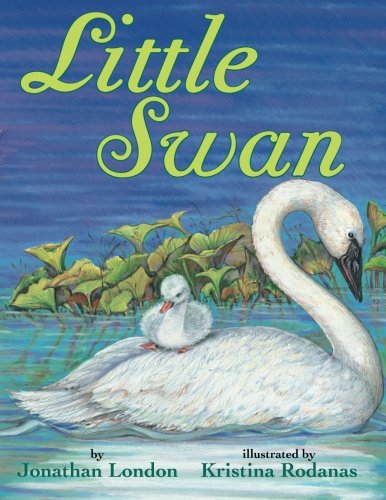 Little Swan [Paperback]