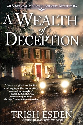 A Wealth of Deception [Hardcover]