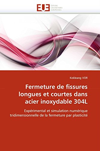Fermeture De Fissures Longues Et Courtes Dans Acier Inoxydable 304l Exprimenta [Paperback]