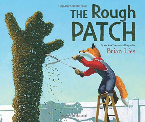 The Rough Patch [Hardcover]