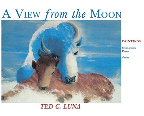 View from the Moon  Paintings, Poetry, Prose, Short Stories [Hardcover]