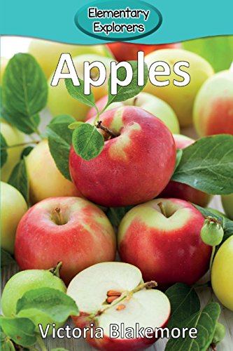 Apples (elementary Explorers) [Paperback]