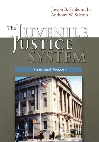 The Juvenile Justice System Law and Process [Paperback]