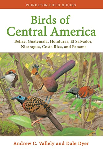 Birds of Central America Belize, Guatemala, Honduras, El Salvador, Nicaragua, C [Paperback]