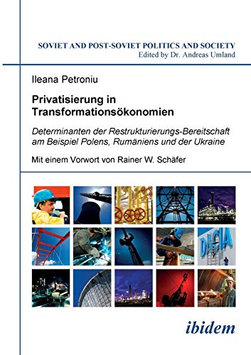 Privatisierung in Transformationskonomien  Determinanten der Restrukturierungs [Paperback]