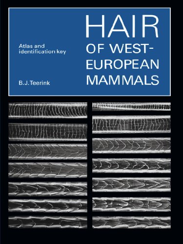 Hair of West European Mammals Atlas and Identification Key [Paperback]