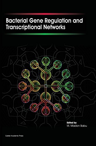 Bacterial Gene Regulation and Transcriptional Networks [Hardcover]
