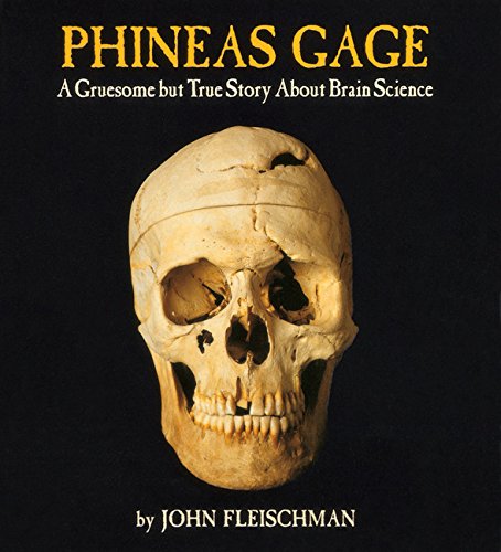 Phineas Gage A Gruesome but True Story About Brain Science [Paperback]