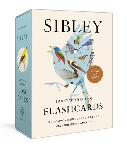 Sibley Backyard Birding Flashcards, Revised and Updated 100 Common Birds of Eas [Cards]