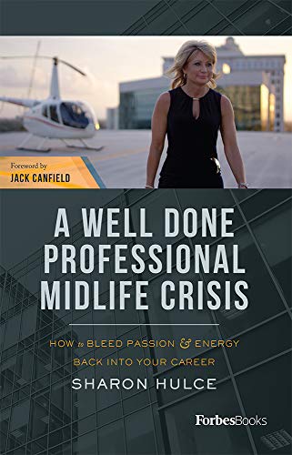 A Well Done Professional Midlife Crisis How To Bleed Passion & Energy Back  [Hardcover]