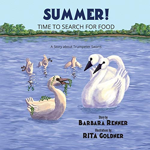 Summer Time To Search For Food, A Story About Trumpeter Swans [Paperback]
