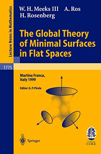 The Global Theory of Minimal Surfaces in Flat Spaces Lectures given at the 2nd  [Paperback]