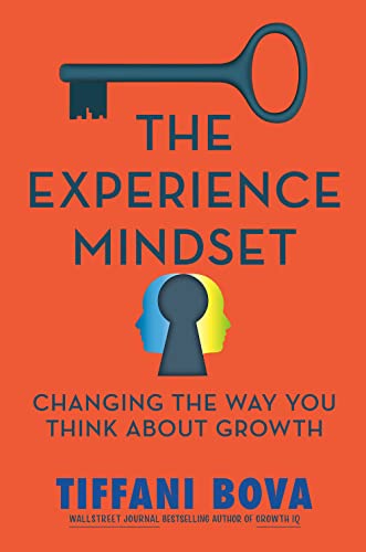 The Experience Mindset Changing the Way You Think About Growth [Hardcover]