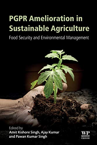 PGPR Amelioration in Sustainable Agriculture Food Security and Environmental Ma [Paperback]