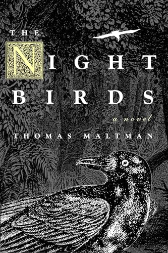 The Night Birds [Paperback]