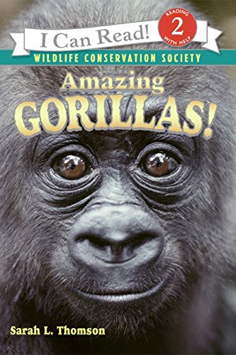 Amazing Gorillas! [Paperback]