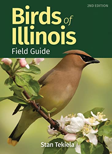 Birds of Illinois Field Guide [Paperback]