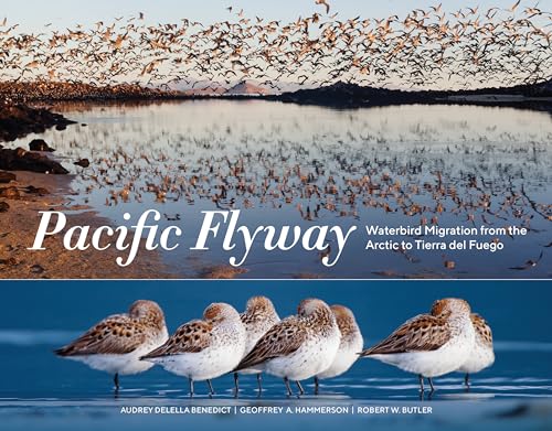 Pacific Flyway Waterbird Migration from the Arctic to Tierra del Fuego [Paperback]