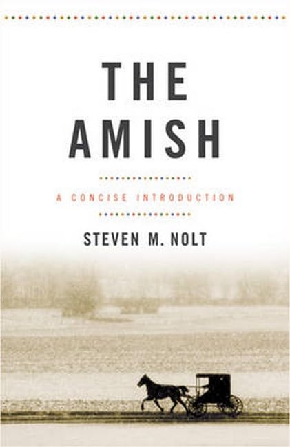 THE AMISH A CONCISE INTRODUCTION [Paperback]