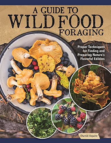 A Guide to Wild Food Foraging Proper Techniques for Finding and Preparing Natur [Paperback]