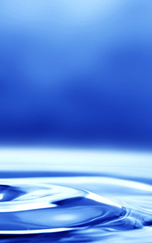 Life of a Low-Carb Zealot [Hardcover]