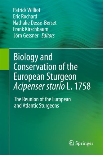Biology and Conservation of the European Sturgeon Acipenser sturio L. 1758 The  [Paperback]
