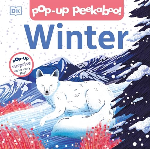 Pop-up Peekaboo Winter Pop-Up Surprise Under Every Flap [Board book]