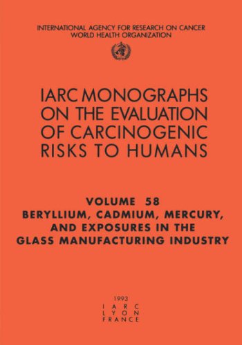 Beryllium, Cadmium, Mercury, and Exposures in the Glass Manufacturing Industry [Paperback]