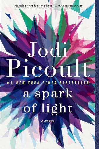 A Spark of Light A Novel [Paperback]