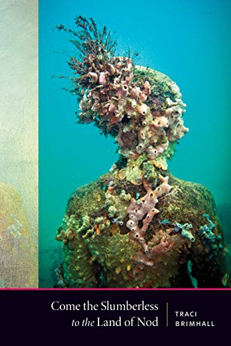 Come the Slumberless To the Land of Nod [Paperback]