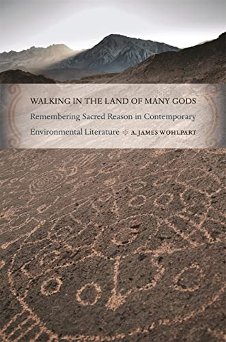 Walking in the Land of Many Gods Remembering Sacred Reason in Contemporary Envi [Paperback]