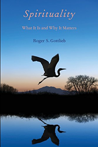 Spirituality What It Is and Why It Matters [Paperback]
