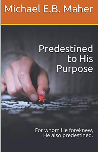 Predestined to His Purpose [Paperback]