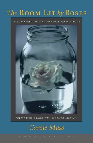 Room Lit By Roses [Paperback]