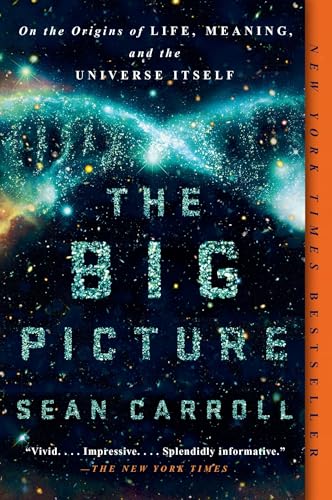 The Big Picture On the Origins of Life, Meaning, and the Universe Itself [Paperback]
