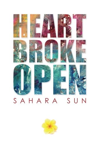 Heart Broke Open A Healing Journey Through The Heart Of Lyme Disease [Paperback]