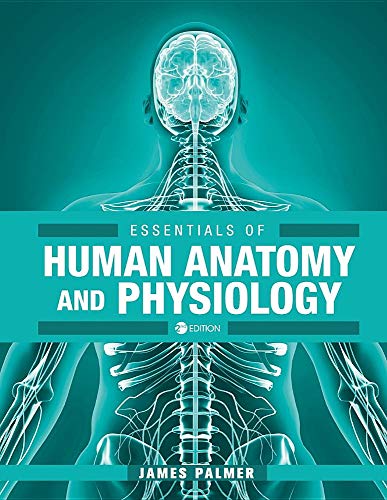 Essentials of Human Anatomy and Physiology (Second Edition) [Paperback]
