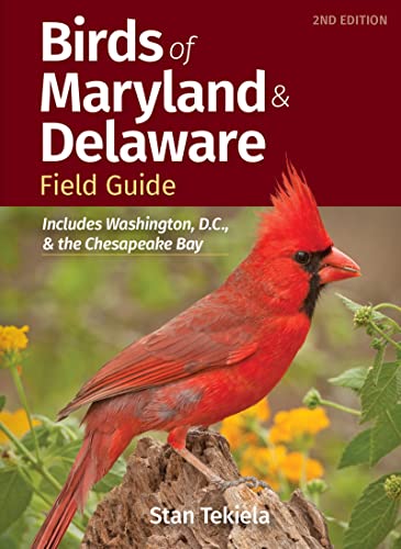 Birds of Maryland & Delaware Field Guide Includes Washington, D.C., & t [Paperback]