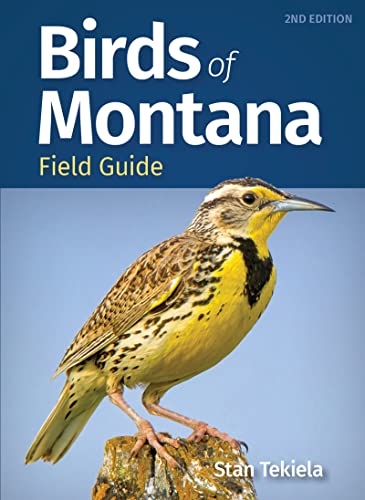 Birds of Montana Field Guide [Paperback]