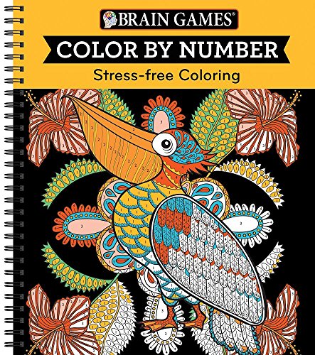 Color By Number Orange [Spiral-bound]