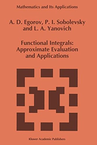 Functional Integrals: Approximate Evaluation and Applications [Paperback]