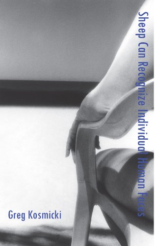 Sheep Can Recognize Individual Human Faces [Paperback]