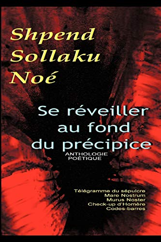 Se RVeiller Au Fond du PrCipice [Paperback]